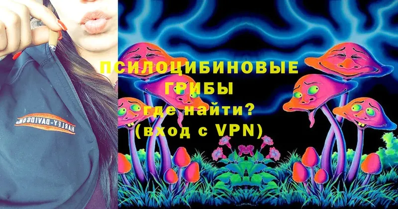 Псилоцибиновые грибы Psilocybe  даркнет сайт  Белогорск 